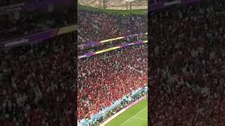 فرحة الجماهير المغربية بعد فوزهم علي منتخب البرتغال و تاهيل المغرب الي نصف نهائي كأس العالم 😯🇲🇦