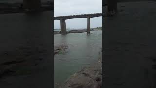 Narmada Nadi In Rajghat Badwani pull 31 July 2021