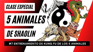 Entrenamiento de Kung Fu 5 Animales