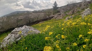 رمضان كريم! نتمنى لكم شهرًا مليئًا بالبركة والسعادة. تقبل الله منا ومنكم صالح الأعمال🫒🤲🌹