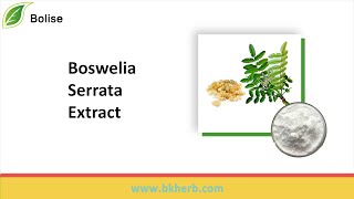 Buy Boswellia Serrata Extract Price,For Sale,Wholesale. Factory Supply Best Price