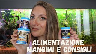 Alimentazione in acquario. Consigli e tipologie di mangime.