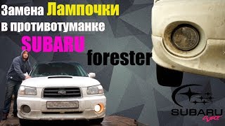 Меняем лампочку в ПТФ Subaru Forester SG