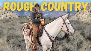 Searching for elk SHEDS on MULES!