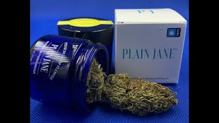 LIFTER CBD FLOWER from Plain Jane