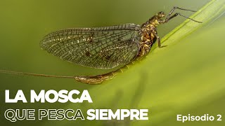 Una MOSCA que se hace en 5 minutos y me permite PESCAR SIEMPRE!!  (Serie Episodio 2)