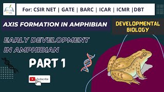 Axis formation in Amphibians #csirnet #usha_yadav #developmental_biology