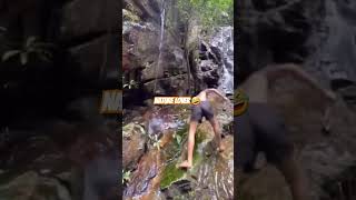 When nature lover hits 🤣🤗 #HFV #funnyvideos