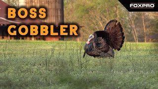 Roosted is Roasted - Turkey Hunting