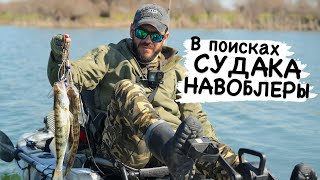 Где искать Судака на воблеры