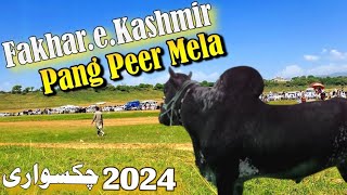 Fakhar Kashmir Bull Race || 2nd Position Mela Pangpeer Thikriyaan Chakswari