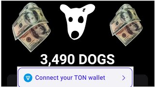 Dogshouse, Memecoin Ya Telegram Uko Wa Connect Ton Wallet Kugirango Uzabone Cash Zawe