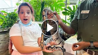 شفا خافت من الثعبان و الصرصور في حديقة الحيوان !! Shfa Afraid of the snake and cockroach in the zoo!