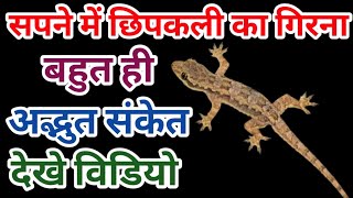 Sapne Mein Chhipkali Ka Girna, सपने में छिपकली का गिरना,lizard falling in dreams