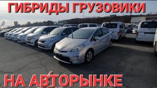 ЧТО, ТОЛЬКО НЕТ НА АВТОРЫНКЕ🤯  ВЛАДИВОСТОК КОНЕЦ ГОДА