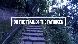 ON THE TRAIL OF THE PATHOGEN