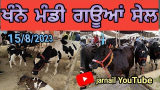 ਖੰਨੇ ਮੰਡੀ 15/8/2023 ਦੇਖੋ ਅੱਜ ਦੇ ਰੇਟ #khanna #mandi #viral #popular #viral mobile no.9855138714