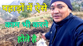 पहाड़ों में ऐसे काम करने में कोई शर्म नहीं होती है मैं कर लेता हूं #dailyvlog #pahdilifestyle