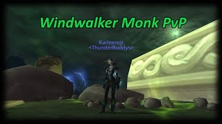 WindWalker Monk Arenas - Fun Moments - Ft Ilpilgrim (Legion 110 PvP)