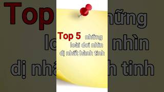 Top 5 những loài dơi nhìn dị nhất hành tinh.