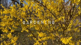 Gardening in Springtime