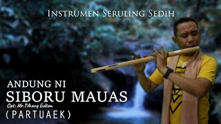 Instrumen Paling Sedih | Andung Ni Siboru Mauas | Partuaek | Musik Penghantar Tidur