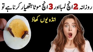 Homemade Egg Nashta Recipe | Quick  Breakfast in 5 Minutes Recipe |Yummy Egg Nashta