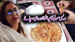 Easy Mooli ka Paratha Kashif Favorite Nashta With Yogurt | Couple Vlogs | Pakistani Family Vlogs