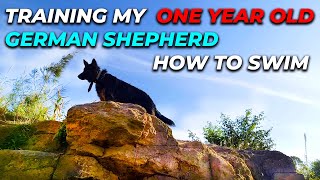 TRAINING MY ONE YEAR OD GERMAN SHEPHERD HOW TO SWIM | DOG TRAINING KENYA NAIROBI | KENYAN YOUTBERS