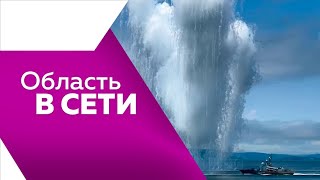 Программа "Область в сети" №264