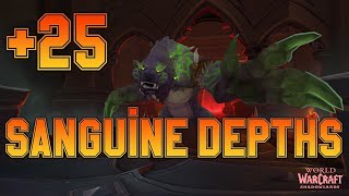 +25 Sanguine Depths - Guardian Druid - Tyrannical, Bursting, Volcanic and Tormented