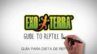 Guía básica Exoterra para la dieta de los reptiles