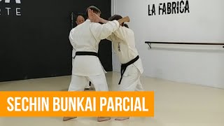 Clase básica de Sechin y dos variantes de bunkai