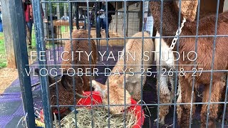 Felicity Yarn Studio Vlogtober Days 25, 26 & 27 (SAFF!)