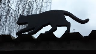 Black Cat...Scroll saw project