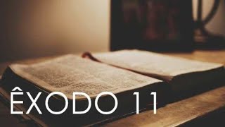 BÍBLIA SAGRADA EM ÁUDIO | ÊXODO CAPÍTULO 11 #biblia #fé #shortvideo #viral #shortyoutube #edit