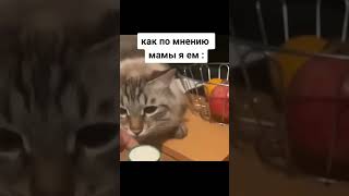 Мемас из Тик Тока #юмор #смех #приколы #смешно #прикол #ржака #мемы #мем #смехдослез #shorts