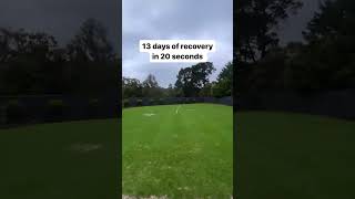 Lawn renovation recovery in 20 seconds