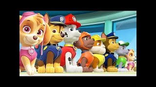 Paw Patrol: Mission PAW | Sweetie Crown Quest vs Skye Jungle Run | Nickelodeon Jr Kids Game Video!