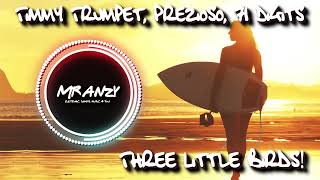 Timmy Trumpet, Prezioso, 71 Digits - Three Little Birds