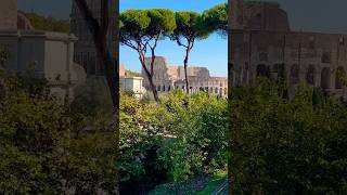 Roman Forum🇮🇹ao som de passarinhos #italy #travel #rome #romanforum #roma