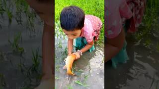 Cute baby hand Fishing in village #fishing #fish #freshwaterfish #foryou #cutebaby #baby