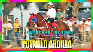 POTRILLO ARDILLA    General Pinedo   Chaco 29 09 2024