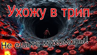 2 шляпки и в тряпки! Ухожу в трип!   https://t.me/Muhomar