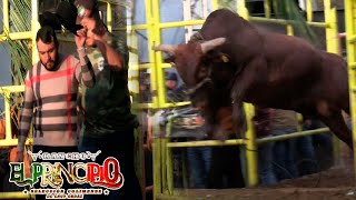 !! TERSER DIA DE  JARIPEO EN PARAMUEN MICHOACAN 11 DE ENERO 2024¡!