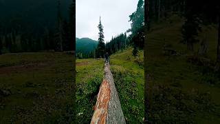 padir view Bhaderwah #shortfeed #pahadivlogsdoda #shortsviral #naltarvalley #naturalbeauty