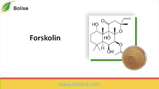 Get Forskolin Price Online From Manufacturer/Supplier;RFQ, Sale - Bolise