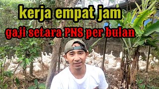 kerja empat jam gaji setara pns per bulan