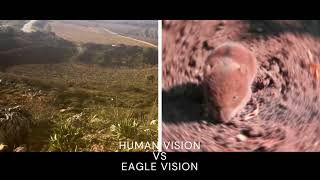 HUMAN VISION VS EAGLE VISION - TECHNEX 2022