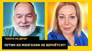 В России начался афганский синдром, какой заказ выполняют Михалков и Балабанов. Михаил Шейтельман